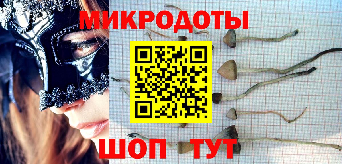 Псилоцибиновые грибы GOLDEN TEACHER Кизляр