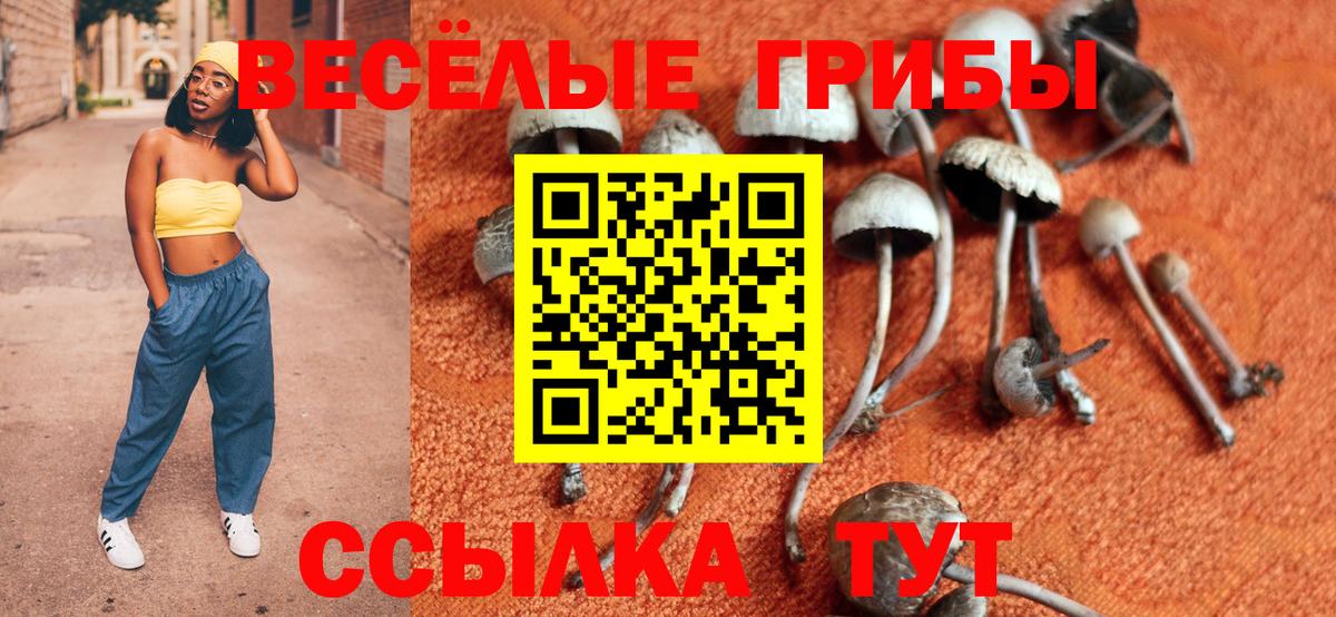 Псилоцибиновые грибы Psilocybine cubensis  даркнет сайт  Кизляр  Вход с VPN 